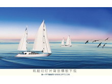 一组帆船运动幻灯片背景图片下载-第一PPT