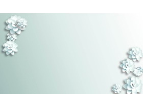 唯美银白色花朵PPT背景图片-第一PPT
