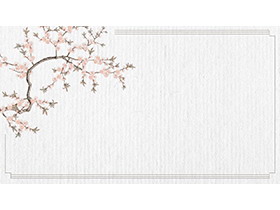 四张雅致梅花花枝PPT背景图片-第一PPT