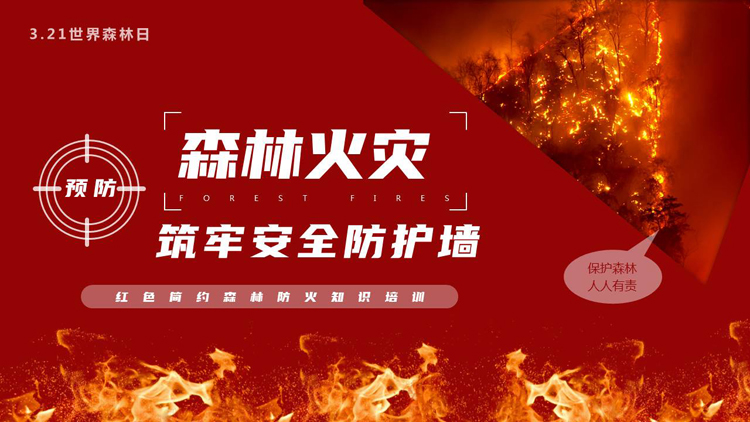 图片[1]-红色“预防森林火灾筑牢安全防护墙”森林防火知识培训PPT模板下载-第一PPT
