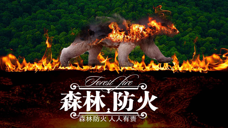 图片[1]-森林火焰背景的森林防火安全知识宣传PPT模板下载-第一PPT