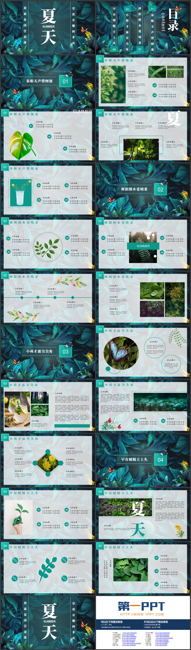 图片[2]-精美水彩花草绿叶背景的夏天主题商务汇报PPT模板-第一PPT