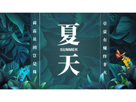 精美水彩花草绿叶背景的夏天主题商务汇报PPT模板-第一PPT