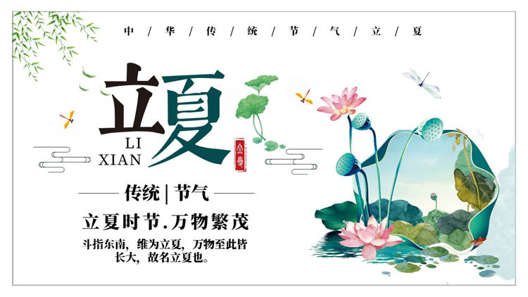 图片[1]-绿色荷花荷叶背景的中国风中国传统节气立夏节气介绍PPT模板-第一PPT