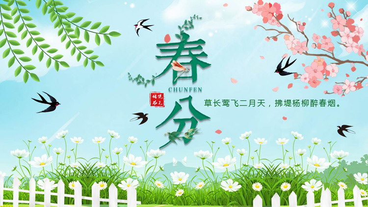 图片[1]-绿色清新花草小燕子背景的春分传统节气介绍PPT模板-第一PPT
