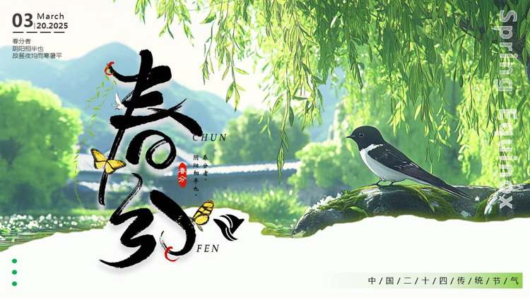 图片[1]-绿色清新柳叶小鸟背景的春分传统节气介绍PPT模板-第一PPT