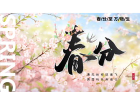 精美插画风桃花背景的春分节气介绍PPT模板-第一PPT