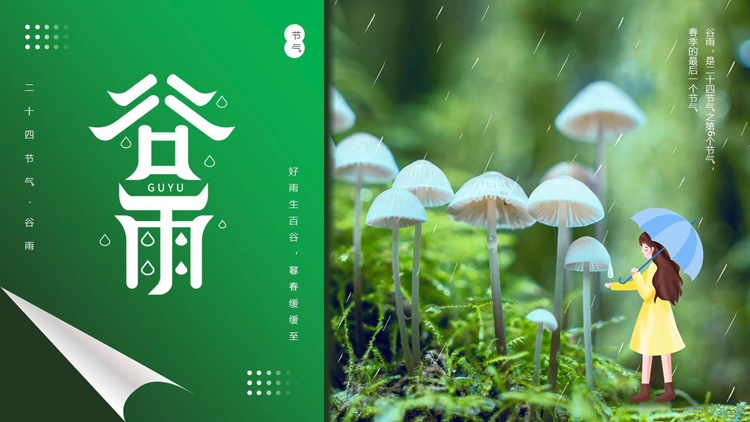 图片[1]-绿色清新蘑菇背景的谷雨节气介绍PPT模板-第一PPT
