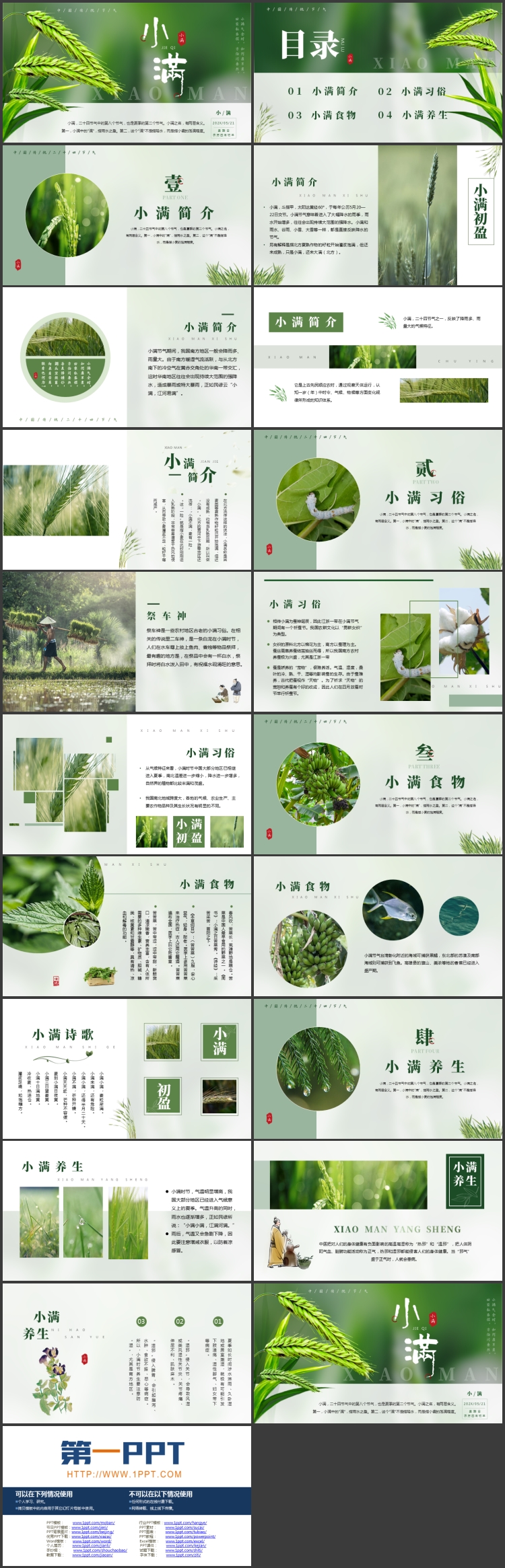 图片[2]-绿色清新麦穗背景的小满传统节气介绍PPT模板-第一PPT