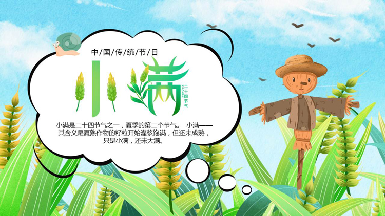 图片[1]-绿色插画麦穗稻草人背景的小满节气介绍PPT模板-第一PPT