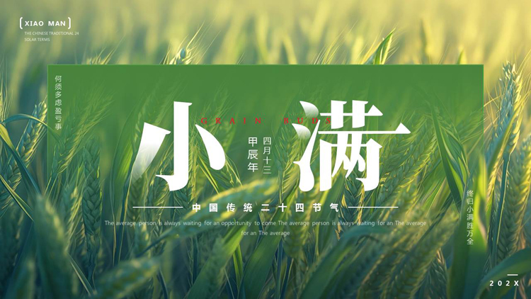 图片[1]-绿色麦穗麦田背景的中国传统二十四节气之小满节气介绍PPT模板-第一PPT