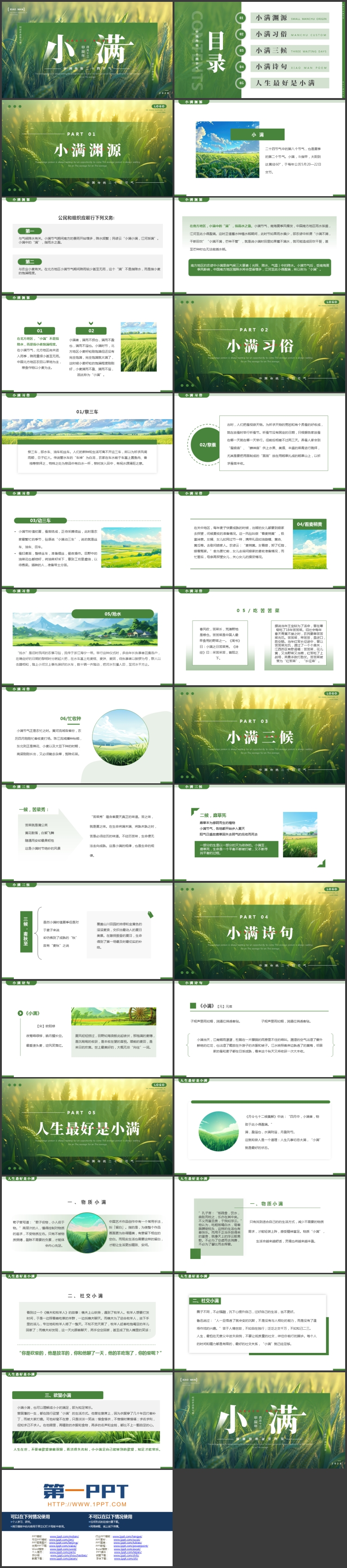 图片[2]-绿色麦穗麦田背景的中国传统二十四节气之小满节气介绍PPT模板-第一PPT