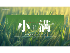 绿色麦穗麦田背景的中国传统二十四节气之小满节气介绍PPT模板-第一PPT