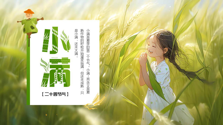 图片[1]-绿色唯美插画麦穗女孩背景的小满节气介绍PPT模板-第一PPT