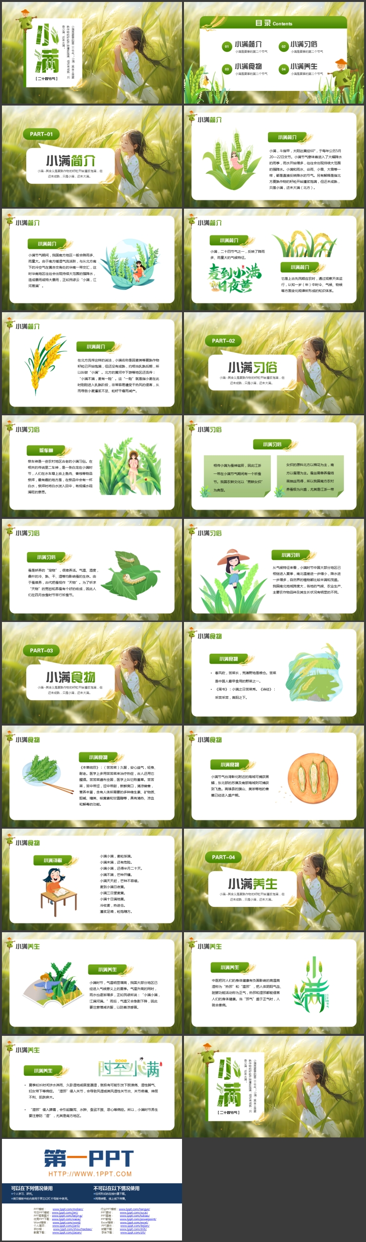 图片[2]-绿色唯美插画麦穗女孩背景的小满节气介绍PPT模板-第一PPT